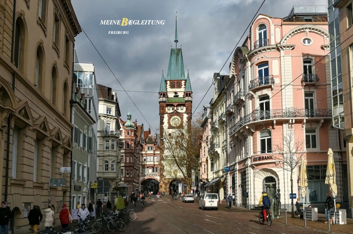 escort freiburg stadt